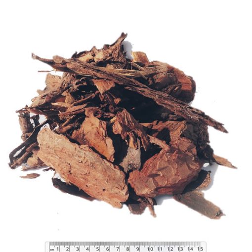 Borovi nagy fenyőkéreg