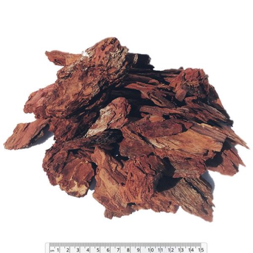 Vörös nagy fenyőkéreg